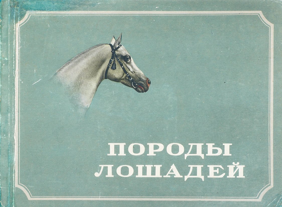 Книг порода. Кондрашев - породы лошадей. 1956. Породы лошадей книга. Советские книги про лошадей. Художественные книги про скачки на лошадях.