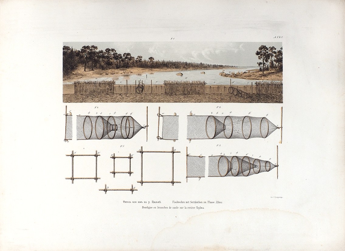 Рисунки к исследованию рыбных и звериных промыслов на белом и северном морях 1863 г