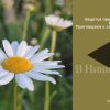 Дорогие коллекционеры и владельцы редких изданий! Дом антикварной книги «В Никитском» открывает прием книг на летние торги!